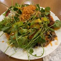 Please Excuse the Plating (Self Serve)  at Pop Vegan Food in Sao Paulo