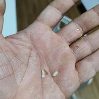  at Pop Vegan Food in Sao Paulo