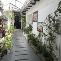 Herbs on the walls at Nuna Raymi in Cusco