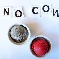 Vegan ice cream and Superfoods at Tribeca Ice Cream in Berlin