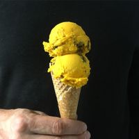 pumpkin! at Tribeca Ice Cream in Berlin