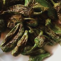 Pimento padrão - pan seared baby peppers  at Mundano Baleal in Ferrel