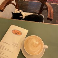   at De Zeeuwse Hemel in Zierikzee