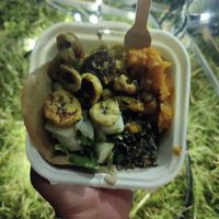  at OSU Coconuts in London