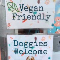 Window signs at The Origami Cafe & Gift Shop in Alnwick
