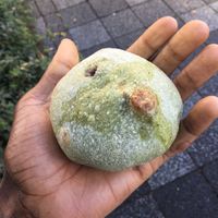 Salted matcha bun with red bean paste at Alpenrose in Kyoto