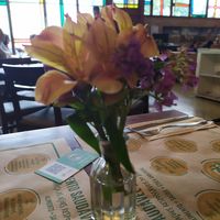  at Vaca Verde in Sao Paulo