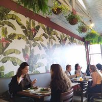  at Vaca Verde in Sao Paulo