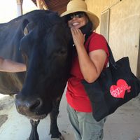 I didn’t know cows were so big at Farm Sanctuary in Acton