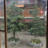 View from the window at The Olive Bistro in Shangri-la