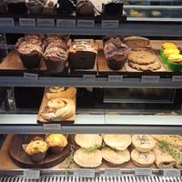  at Portershed in Christchurch