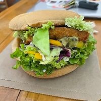  at Portershed in Christchurch