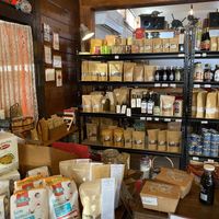   at Portershed in Christchurch