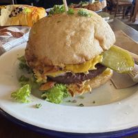   at Portershed in Christchurch