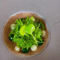 Fèves des marais  at Humus x Hortense in Brussels