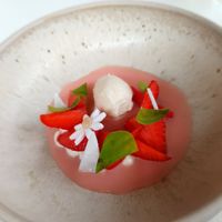 Pud at Humus x Hortense in Brussels