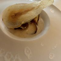   at Humus x Hortense in Brussels