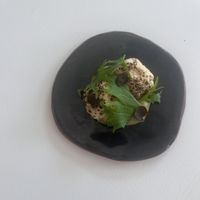   at Humus x Hortense in Brussels