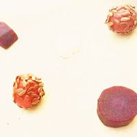  at Humus x Hortense in Brussels