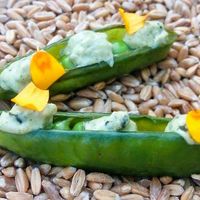  at Humus x Hortense in Brussels