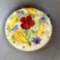   at Humus x Hortense in Brussels