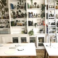 Vegetal, Vegetal, Vegetal at Humus x Hortense in Brussels