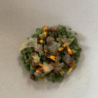 2nd course  at Humus x Hortense in Brussels