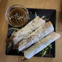 Vegan duck rolls   at +84 Asian Restaurant in Berlin