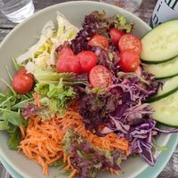 Salad with dressing at Veggiezz - Opernring in Vienna