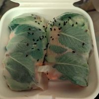 Delight rolls at Veggiezz - Opernring in Vienna