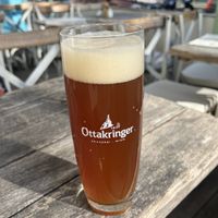   at Veggiezz - Opernring in Vienna