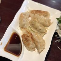 Veggie potstickers  at Vietnam's Central in Scarsdale