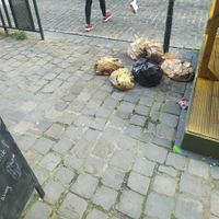 Trash before entering at The Judgy Vegan in Brussels