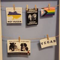  at The Judgy Vegan in Brussels