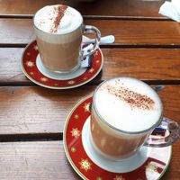 cappuccino at The Judgy Vegan in Brussels