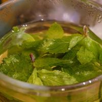  at The Judgy Vegan in Brussels