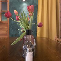   at The Judgy Vegan in Brussels