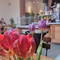  at The Judgy Vegan in Brussels