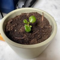   at The Judgy Vegan in Brussels