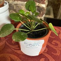   at The Judgy Vegan in Brussels