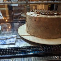  at The Judgy Vegan in Brussels