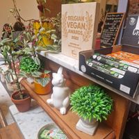  at The Judgy Vegan in Brussels