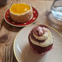  at The Judgy Vegan in Brussels