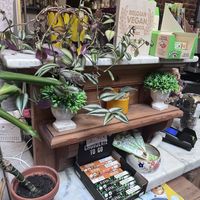   at The Judgy Vegan in Brussels