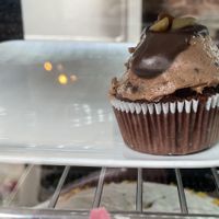 Chocolate cupcakees  at The Judgy Vegan in Brussels