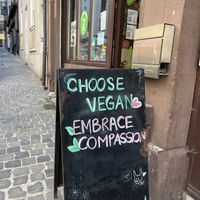   at The Judgy Vegan in Brussels