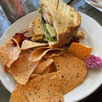 The T.A.L.T at Kollective Coffee & Tea in Hot Springs