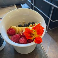 Vegan Breakfast bowl of goodness  at Kollective Coffee & Tea in Hot Springs