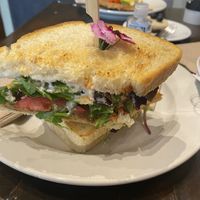 TALT, clearly marked vegan  at Kollective Coffee & Tea in Hot Springs