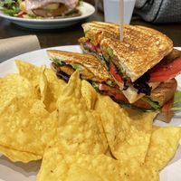 T.A.L.T sandwich with chips  at Kollective Coffee & Tea in Hot Springs
